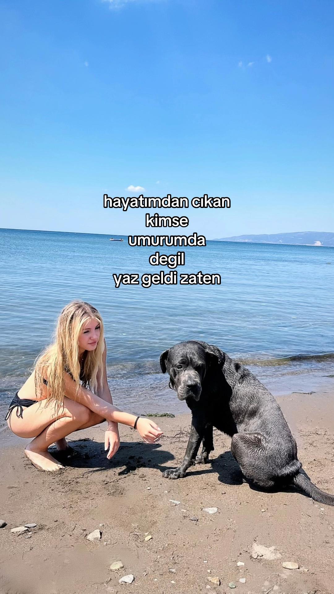 @acelyacckk