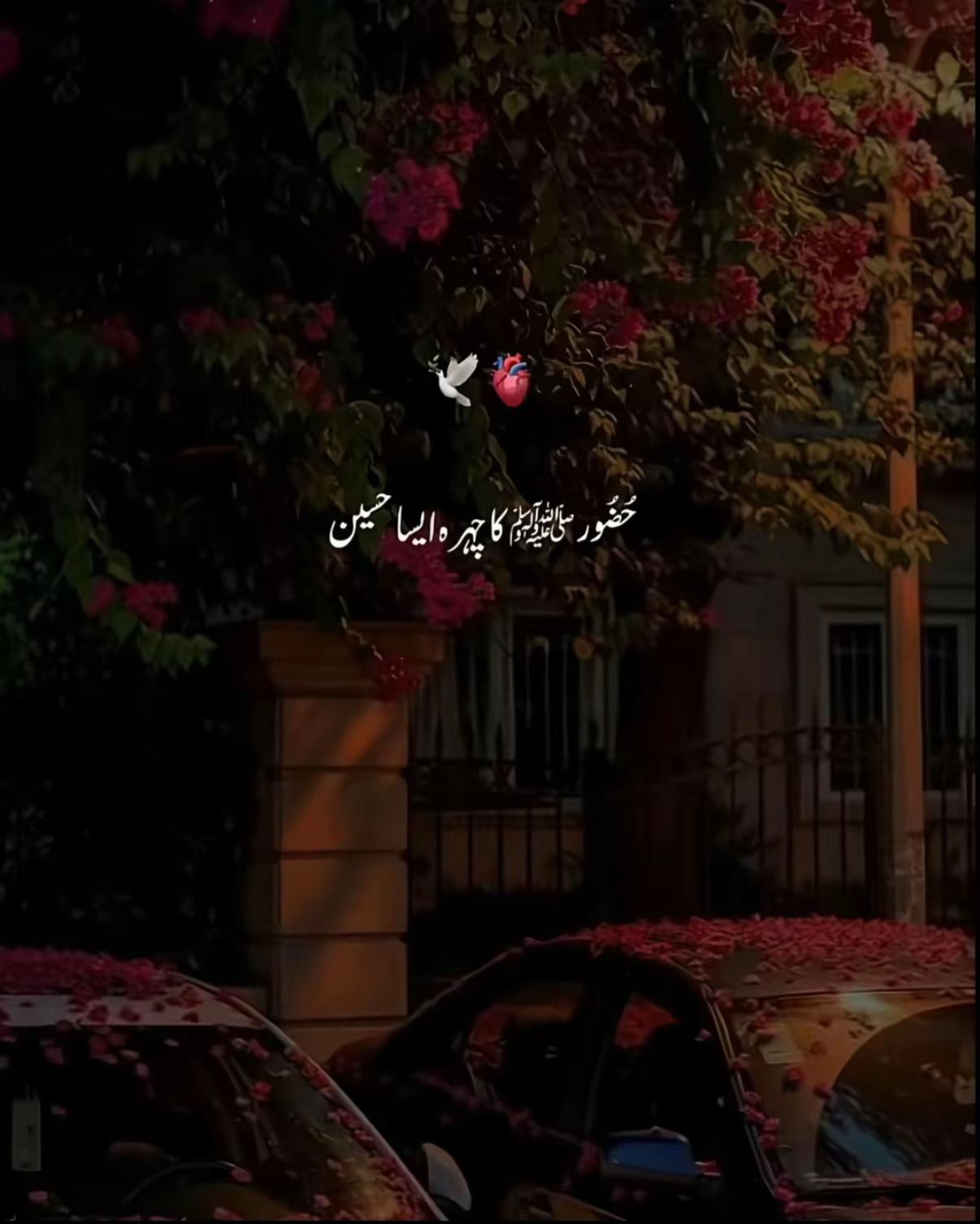 @💸 QASIM ARAIN 💸
