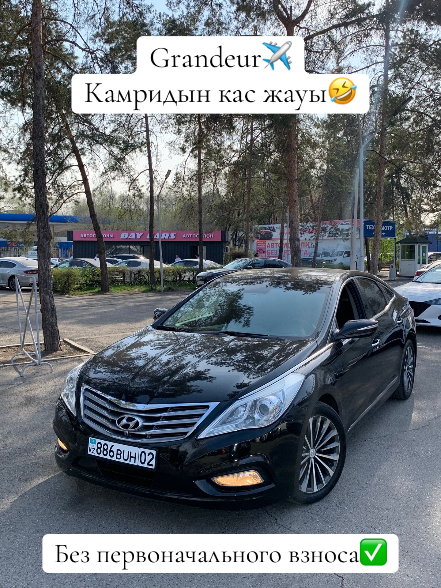 @bay_cars