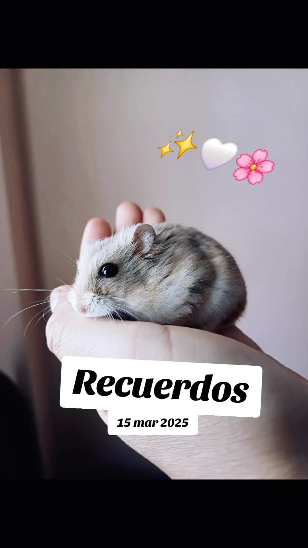 @&bull;-✨🏳&zwj;🌈🌺Leslie💙🖤🌹-&bull;