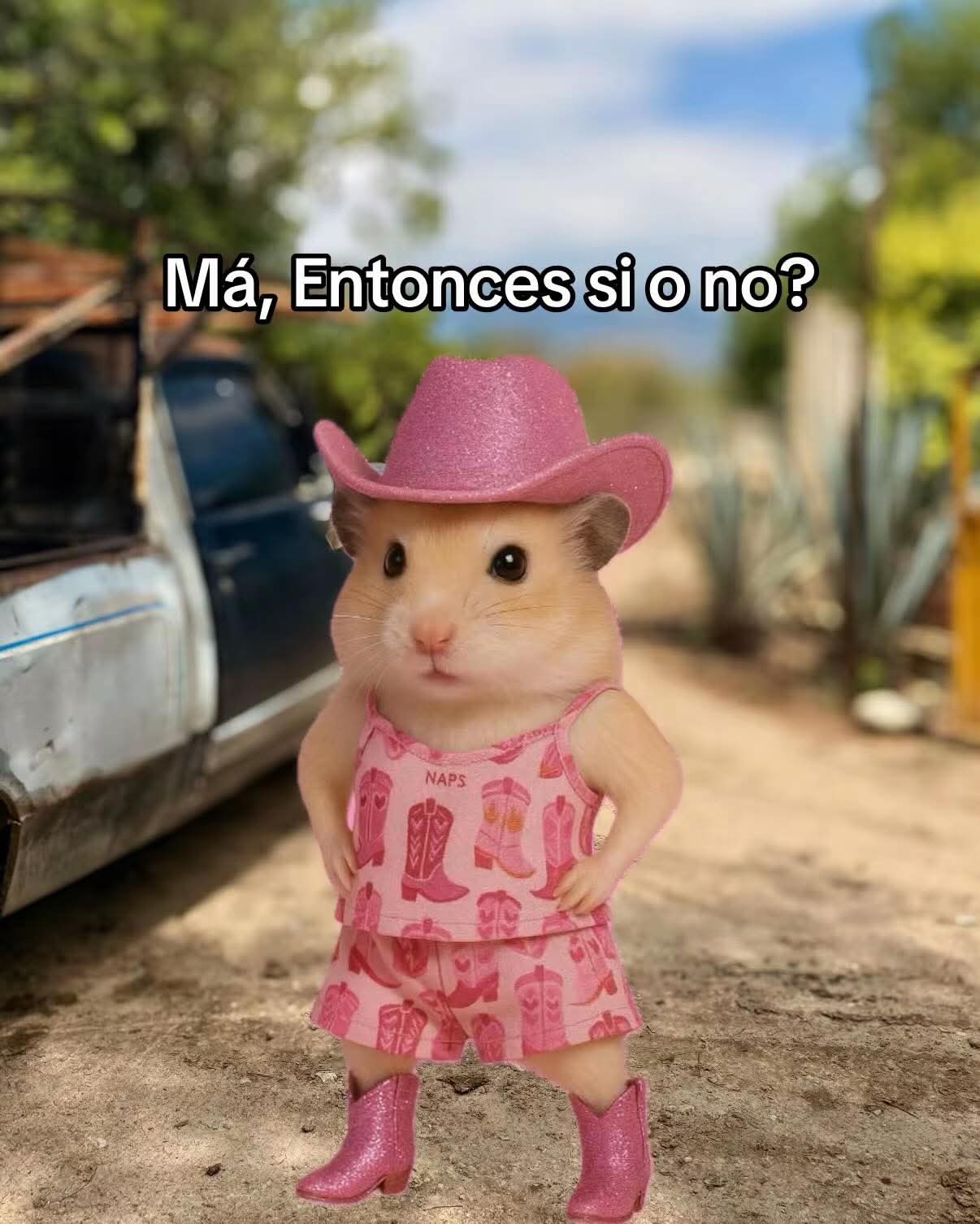@Preciosa