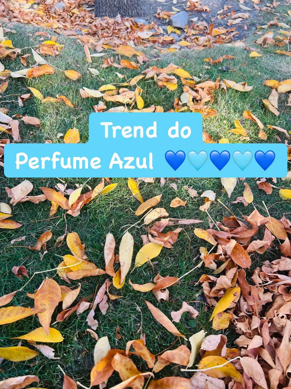 @Grasi toucadordemadame🇧🇷🇨🇦