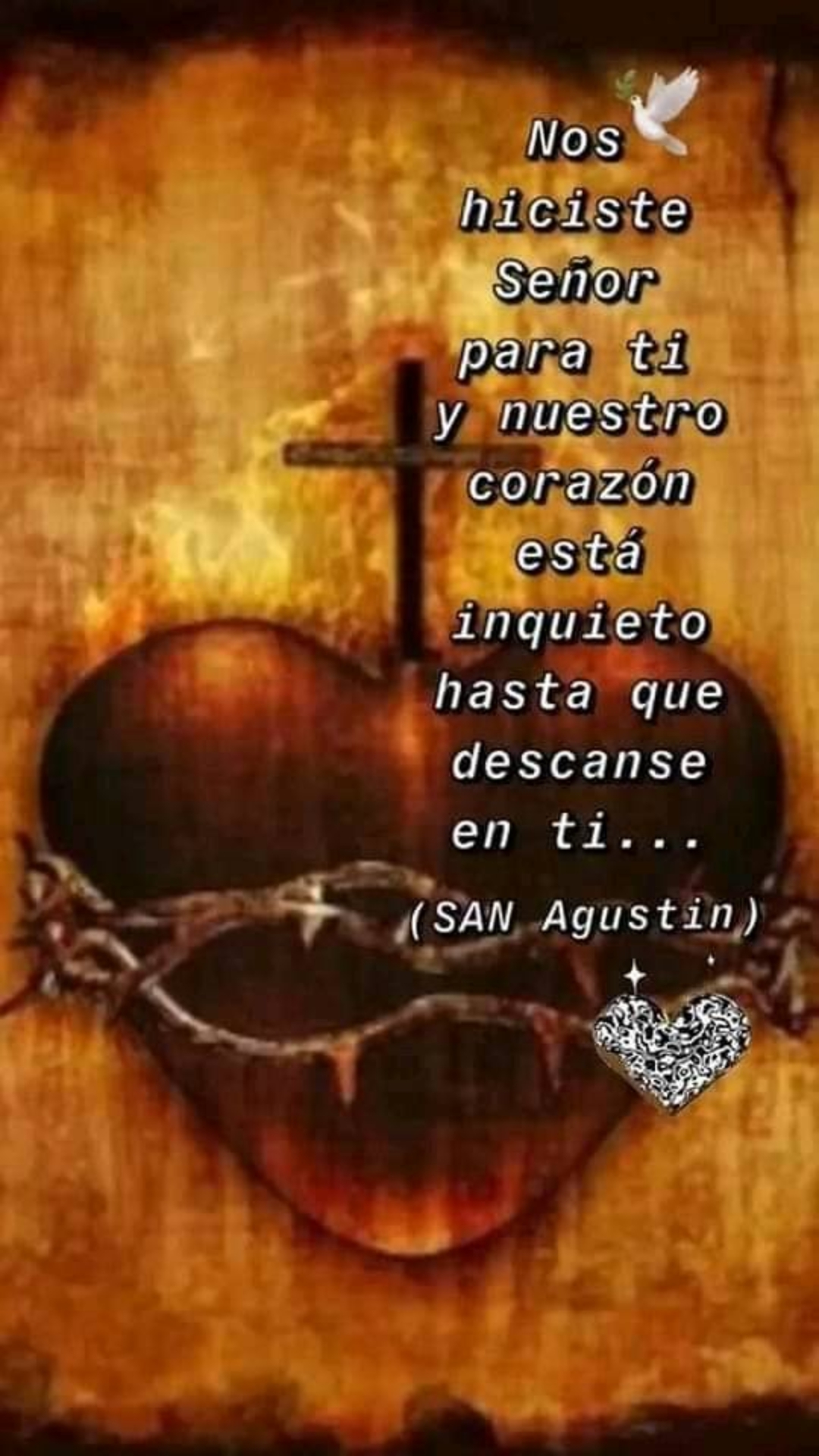 @Sofía