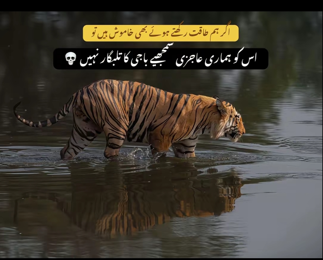 @AsghaR🪶