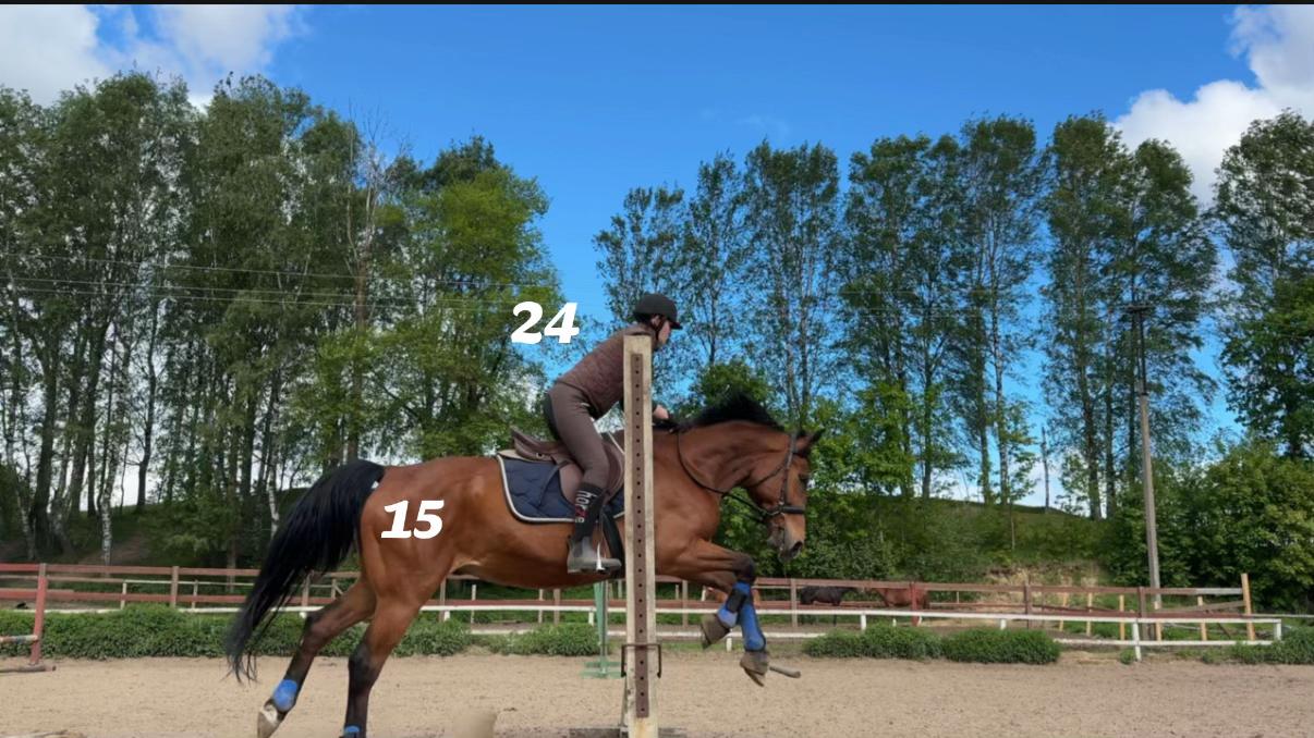 @Аня и Ладный