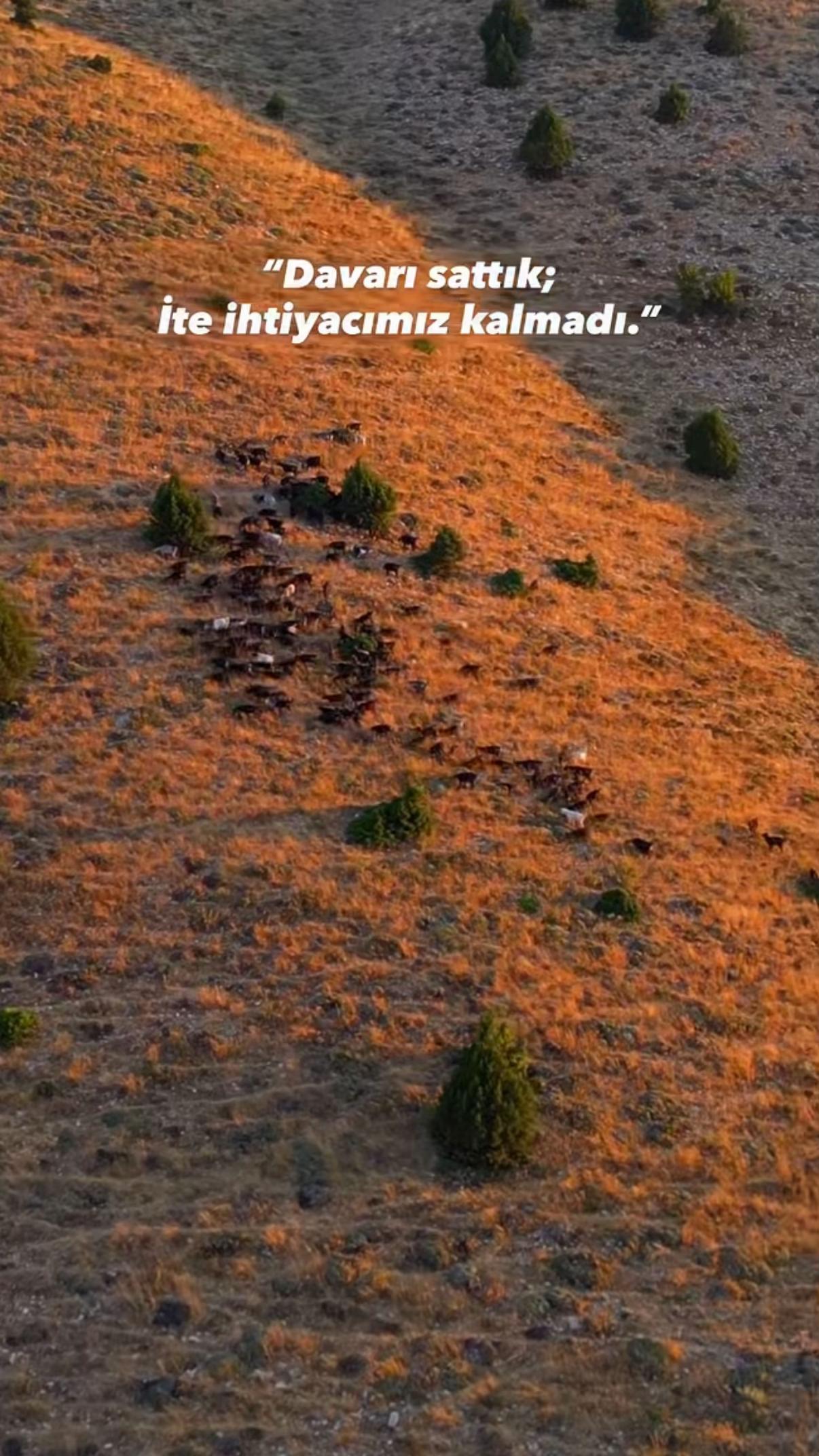 @Bülent ERKUŞ