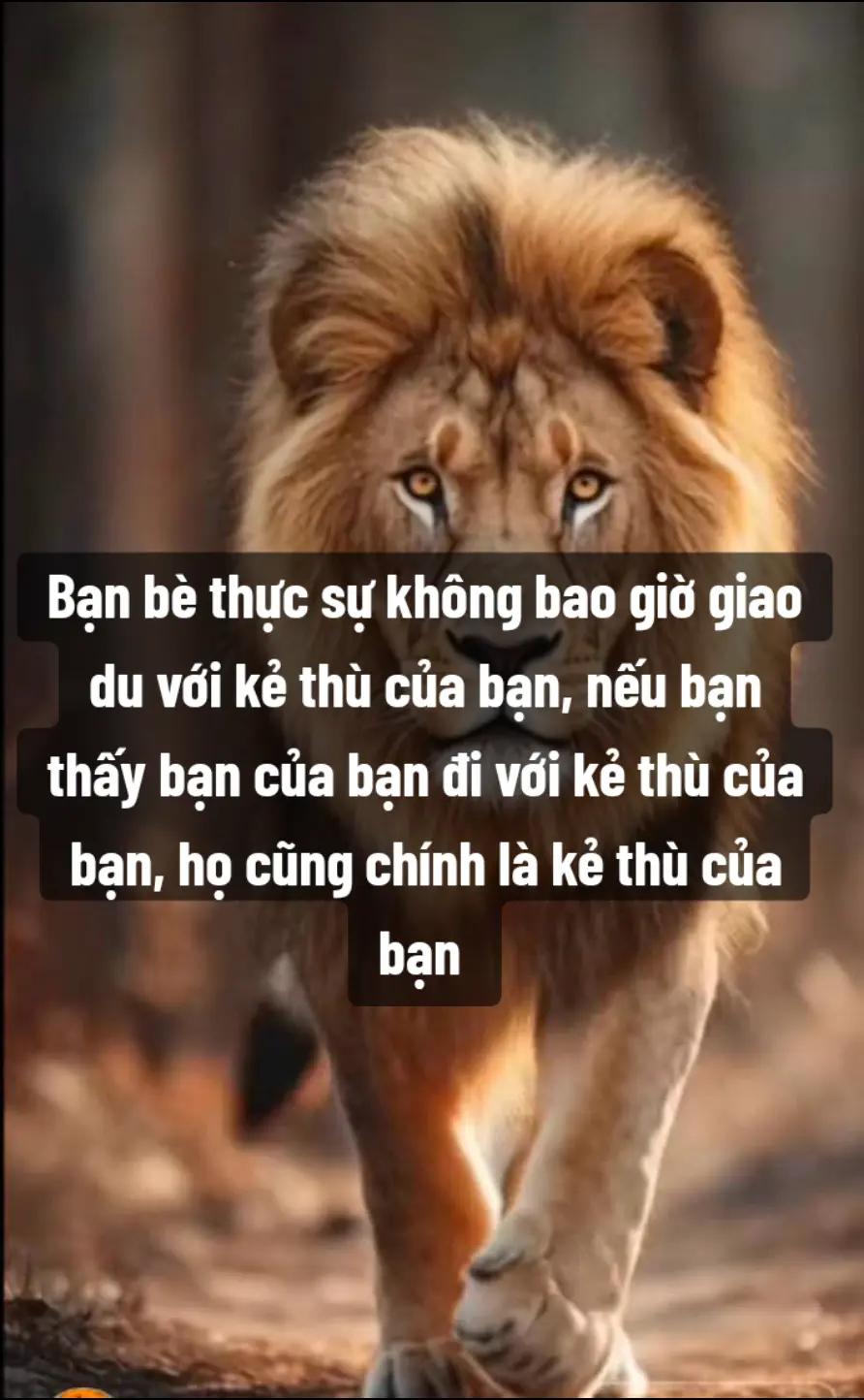 @Ch&agrave;o buổi s&aacute;ng