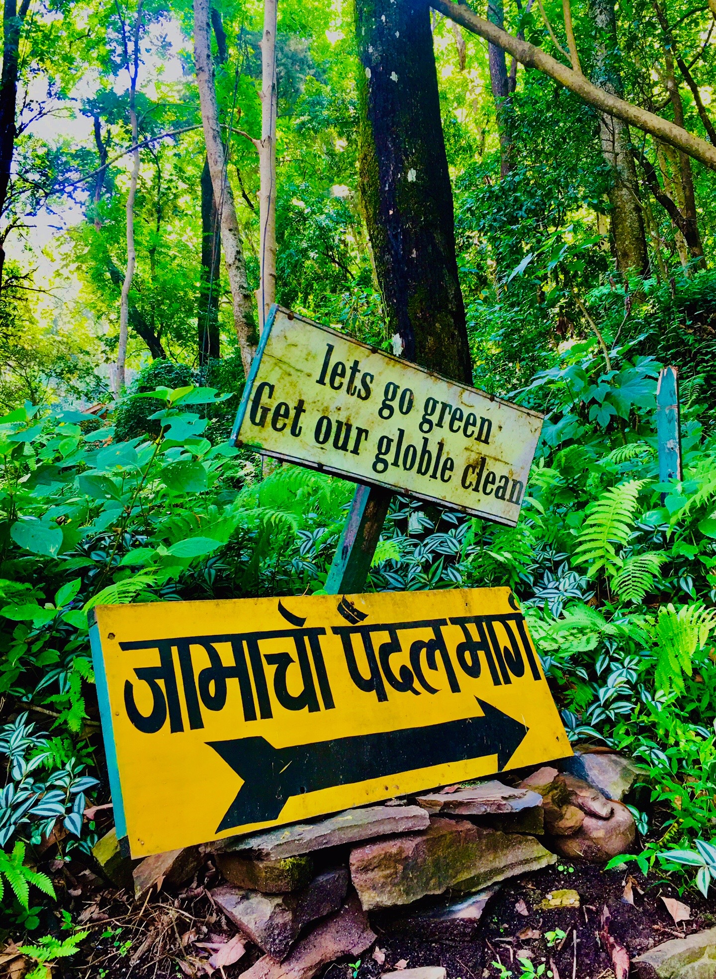 @Niraj Rai