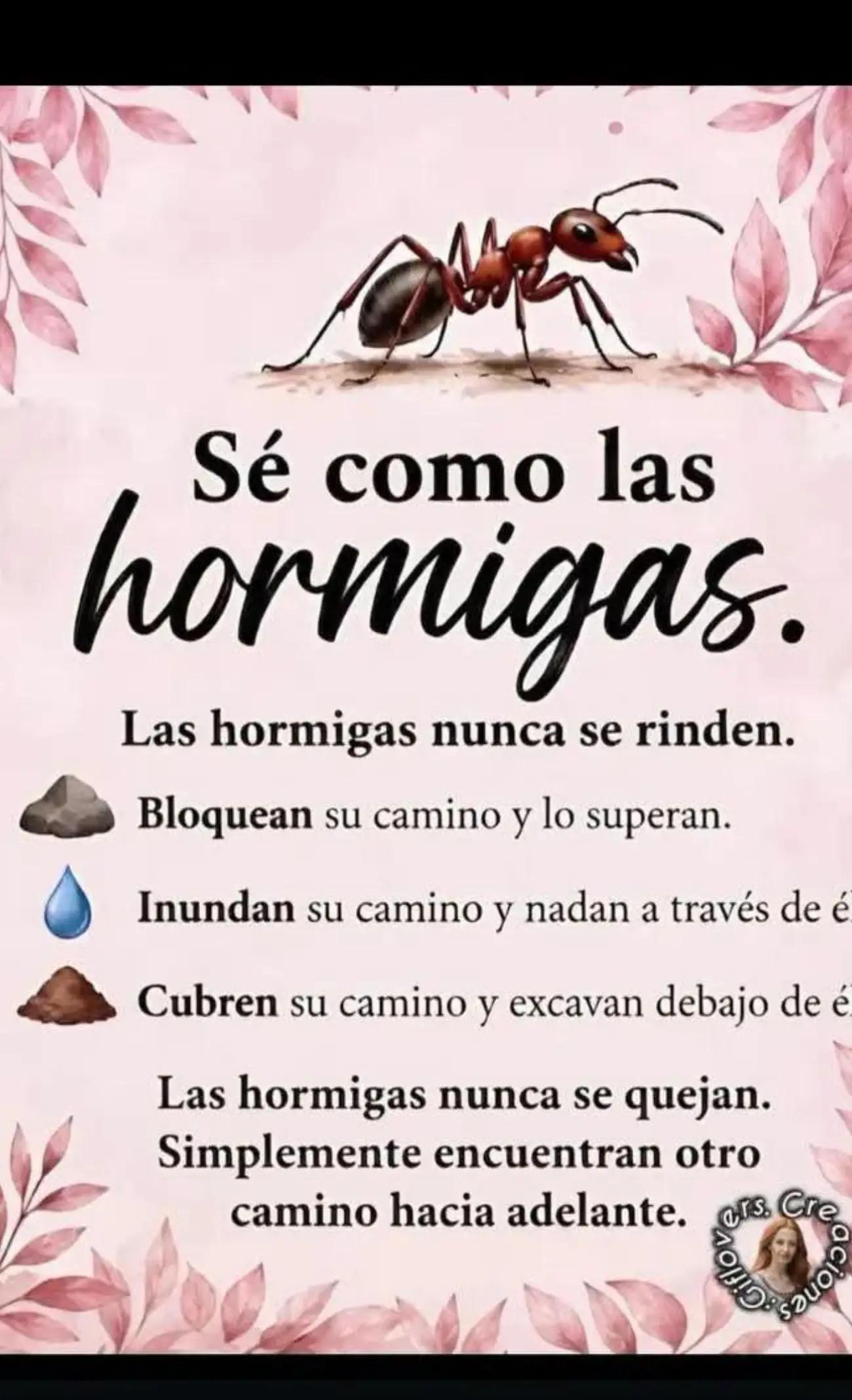 @Francisco Valdivia