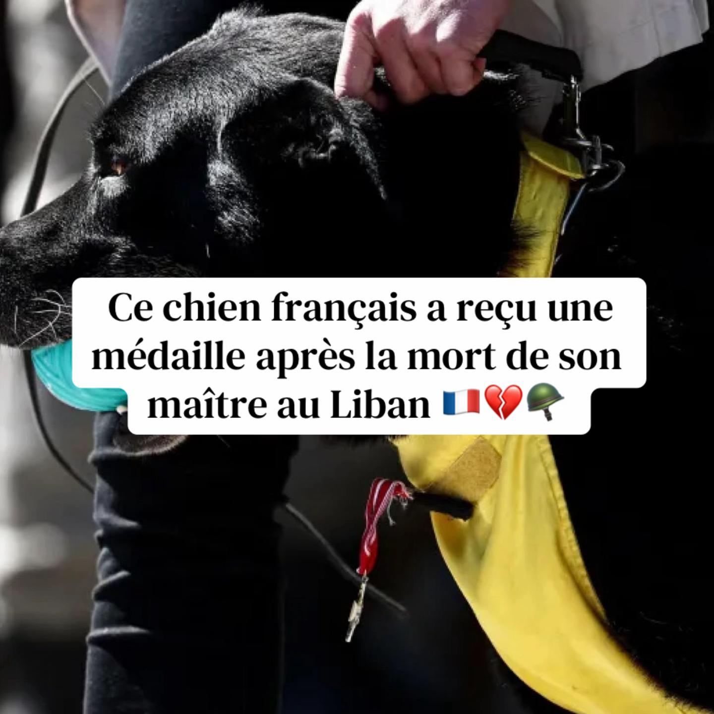 @HéritageFrancais🇫🇷