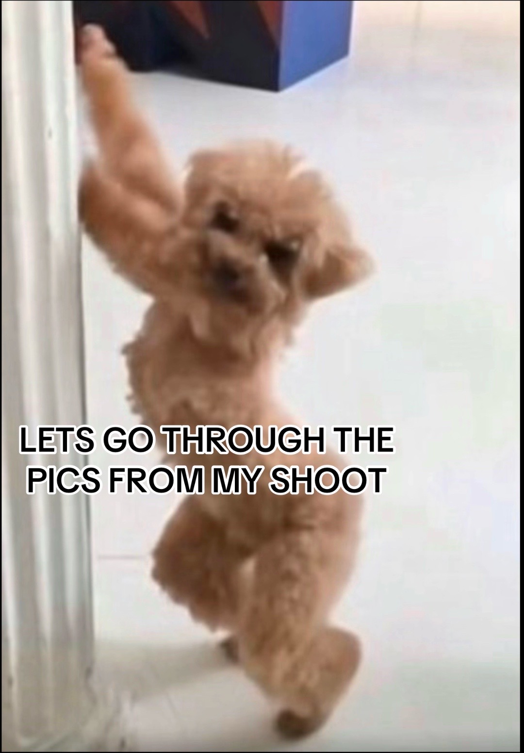 @EDO