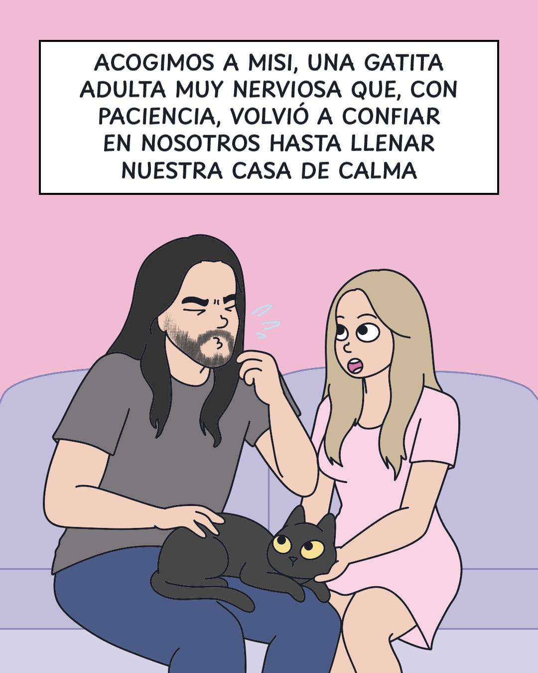 @Cosa de gatos