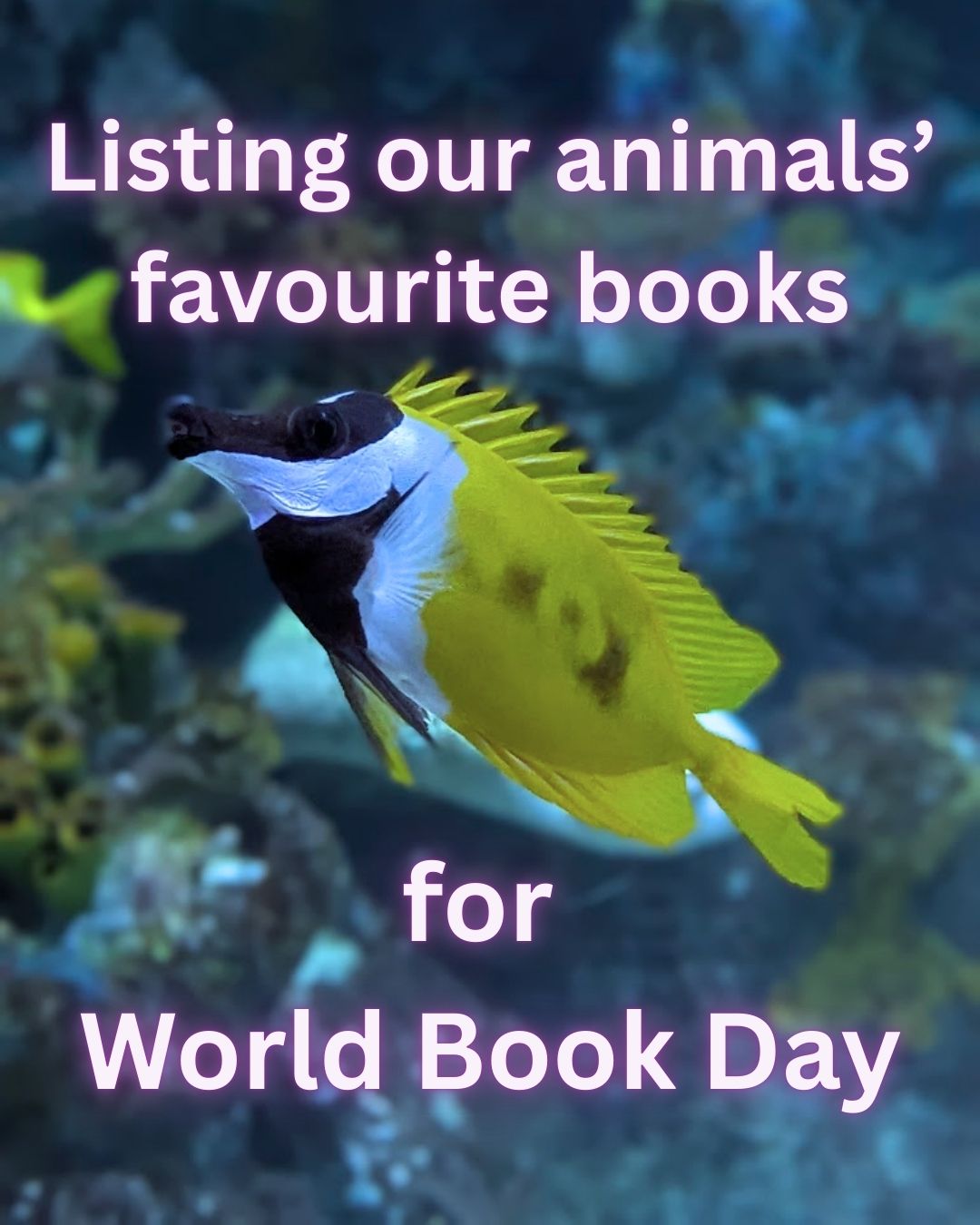 @BristolAquarium