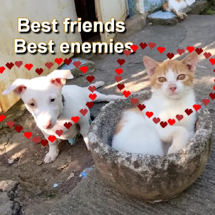 @Kamadi