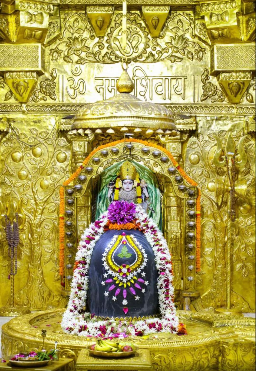 @Radha Radha 🙏