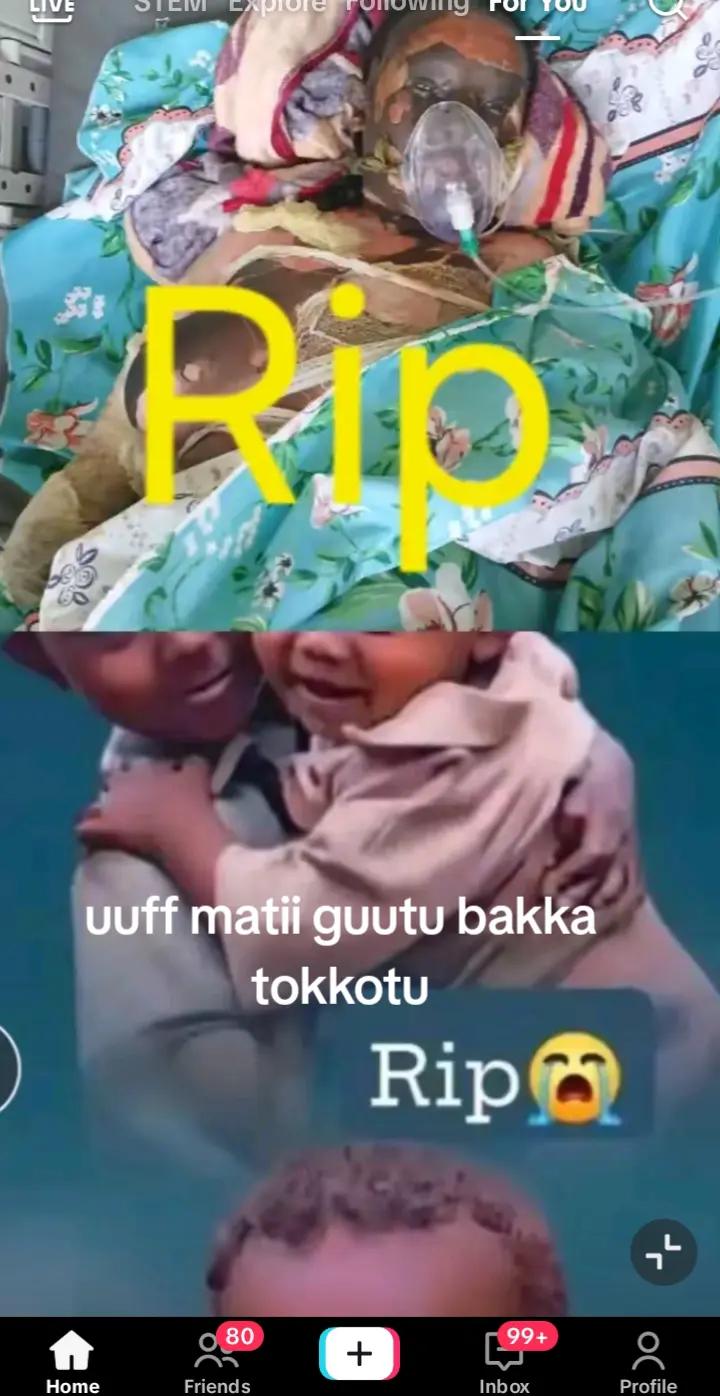 @guyyaa tokko
