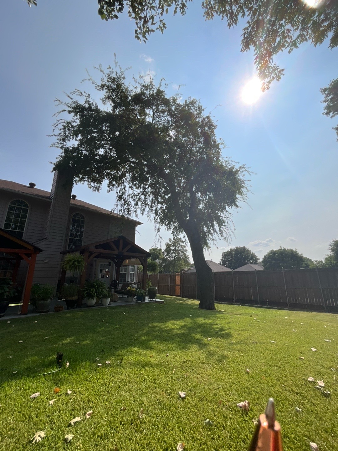 @Live Oak Tree Service