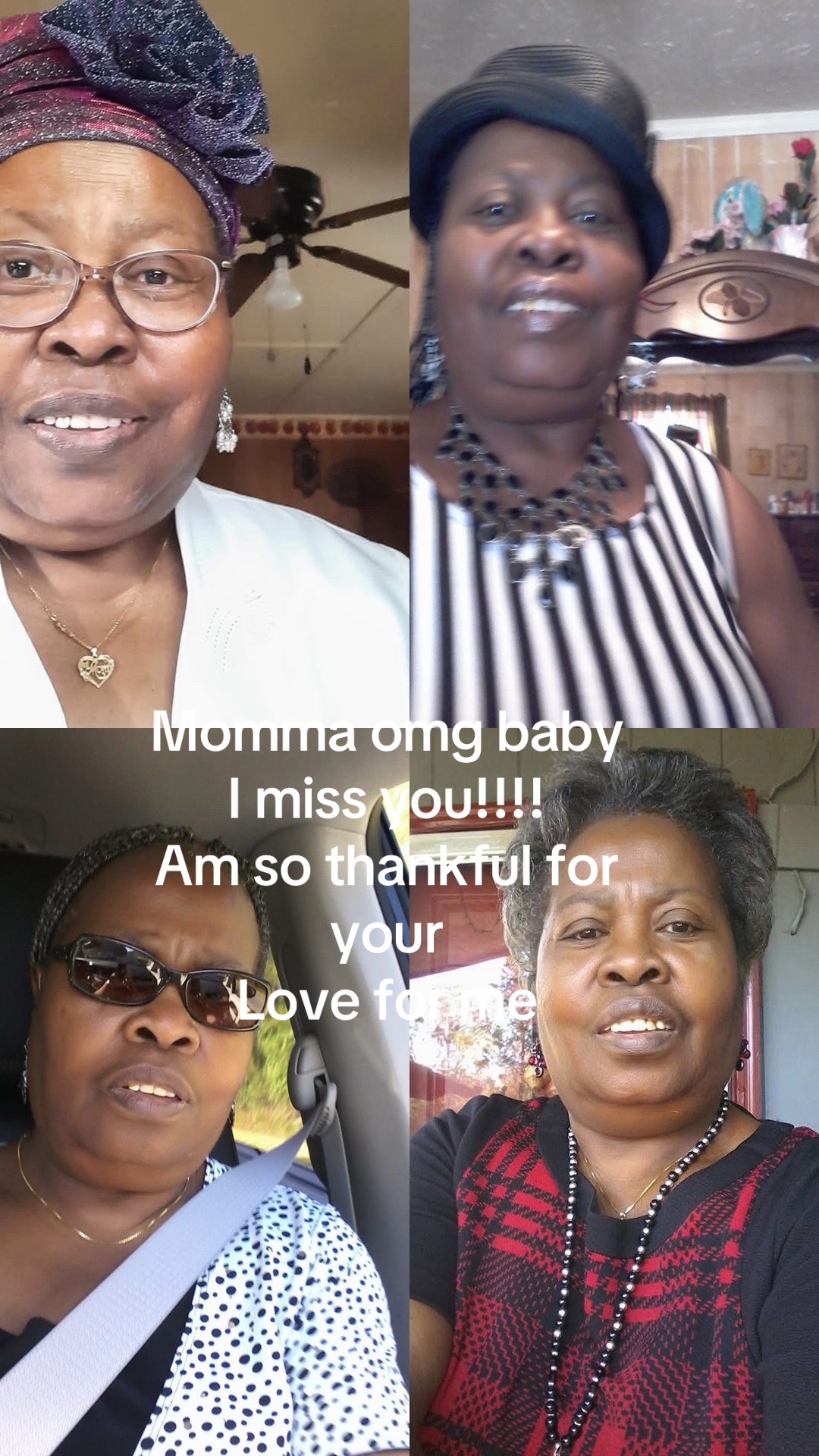 @SweetRose silverback Dee โ ๐