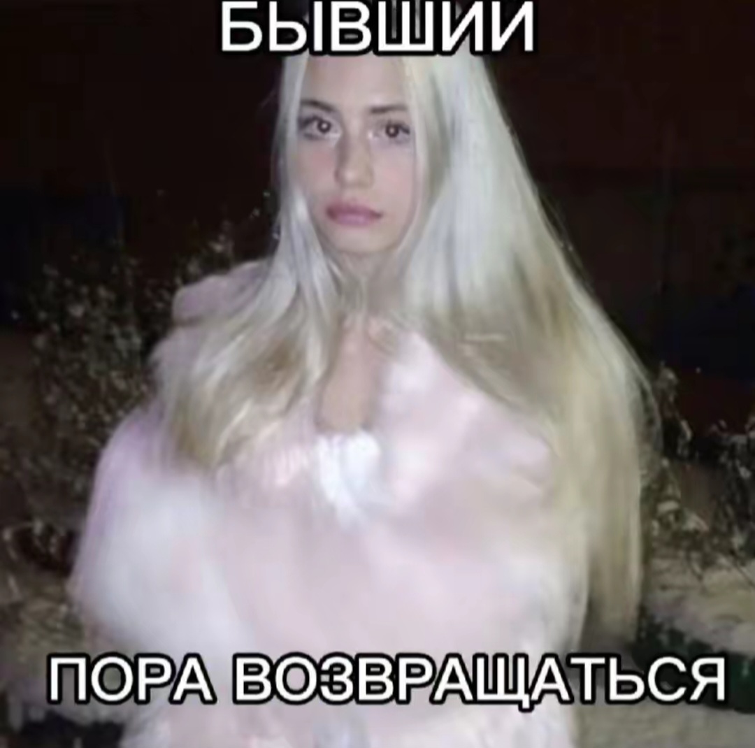 @🐈
