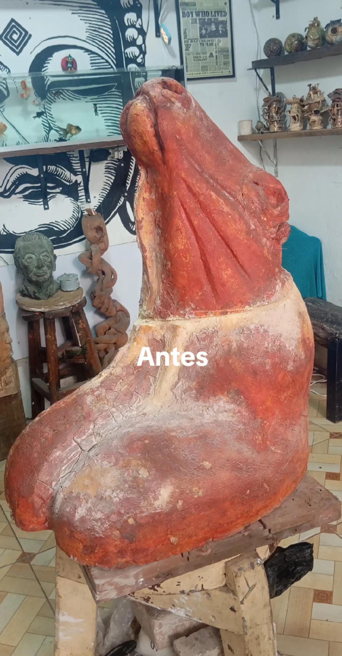 @taxidermiadecorperu