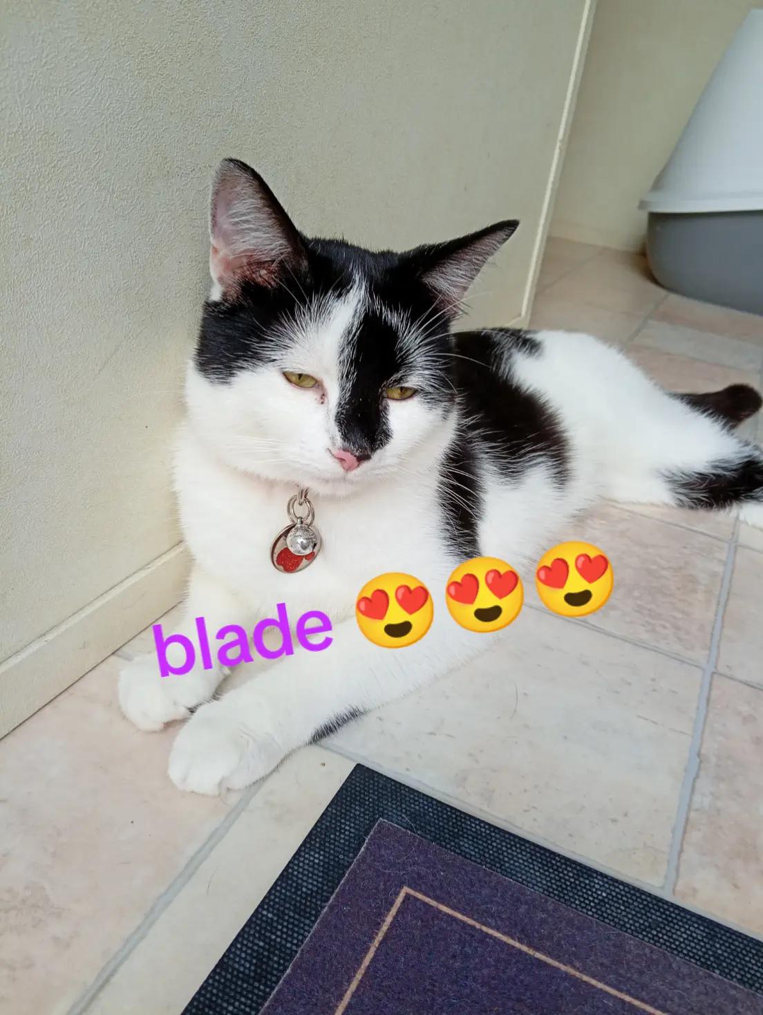 @🔥𝒩𝒾𝓀𝒾𝓉𝒶ℬ𝓊𝓉𝓉ℴ𝓃𝓈🔥