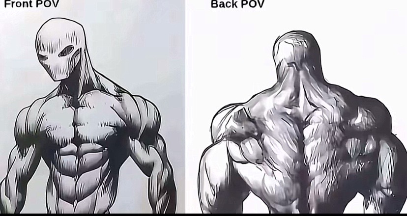 @jxyq_fit