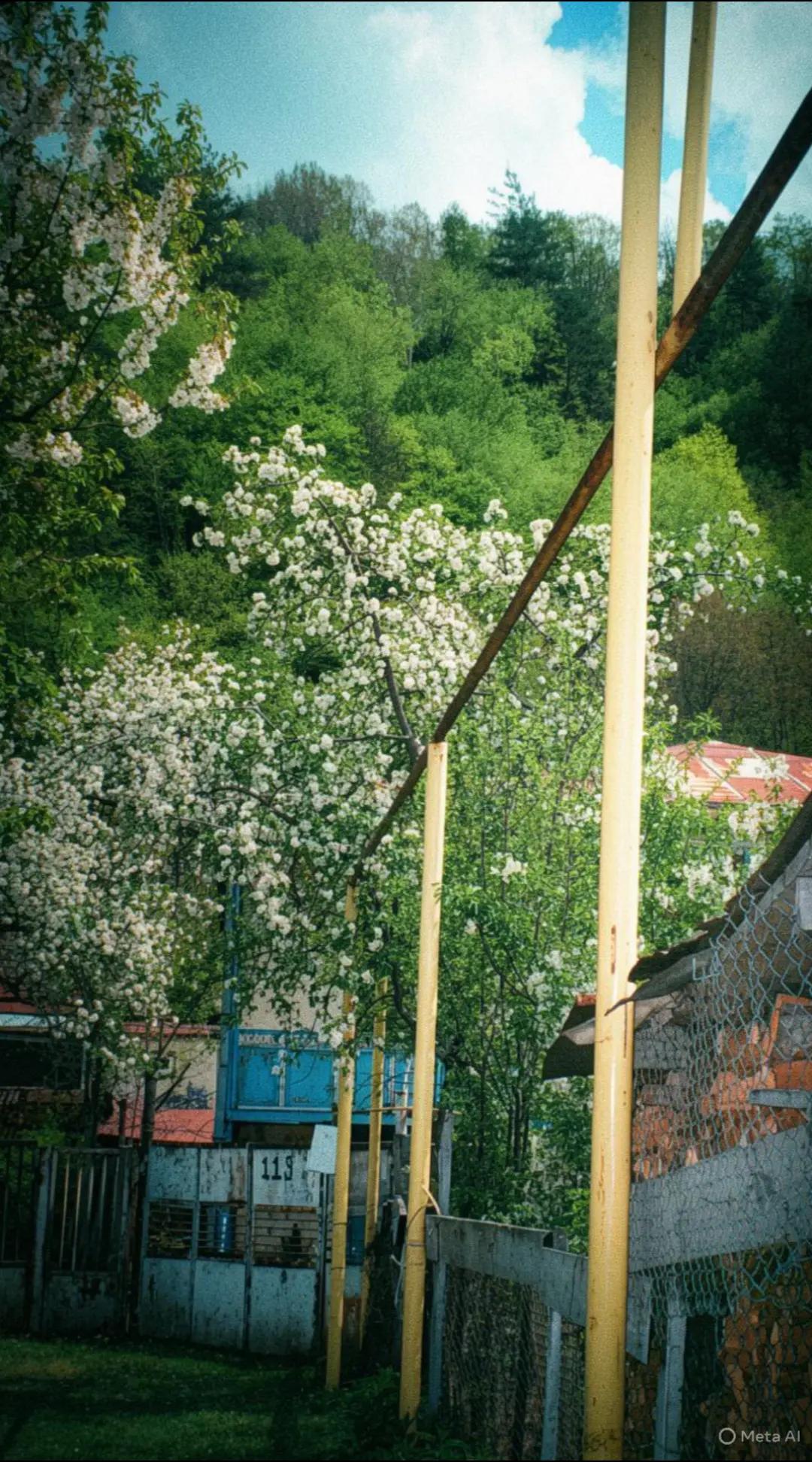 @მარიამი