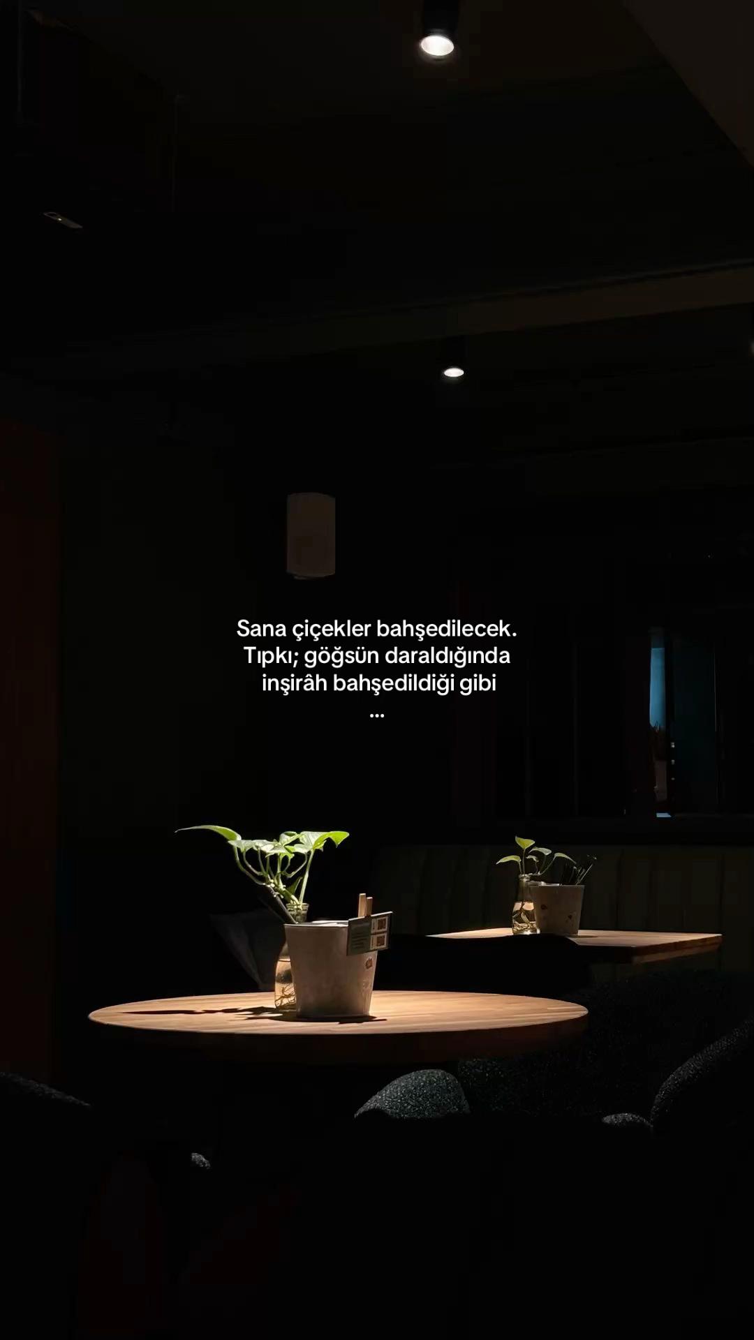 @𝓔𝓵𝓲𝓯