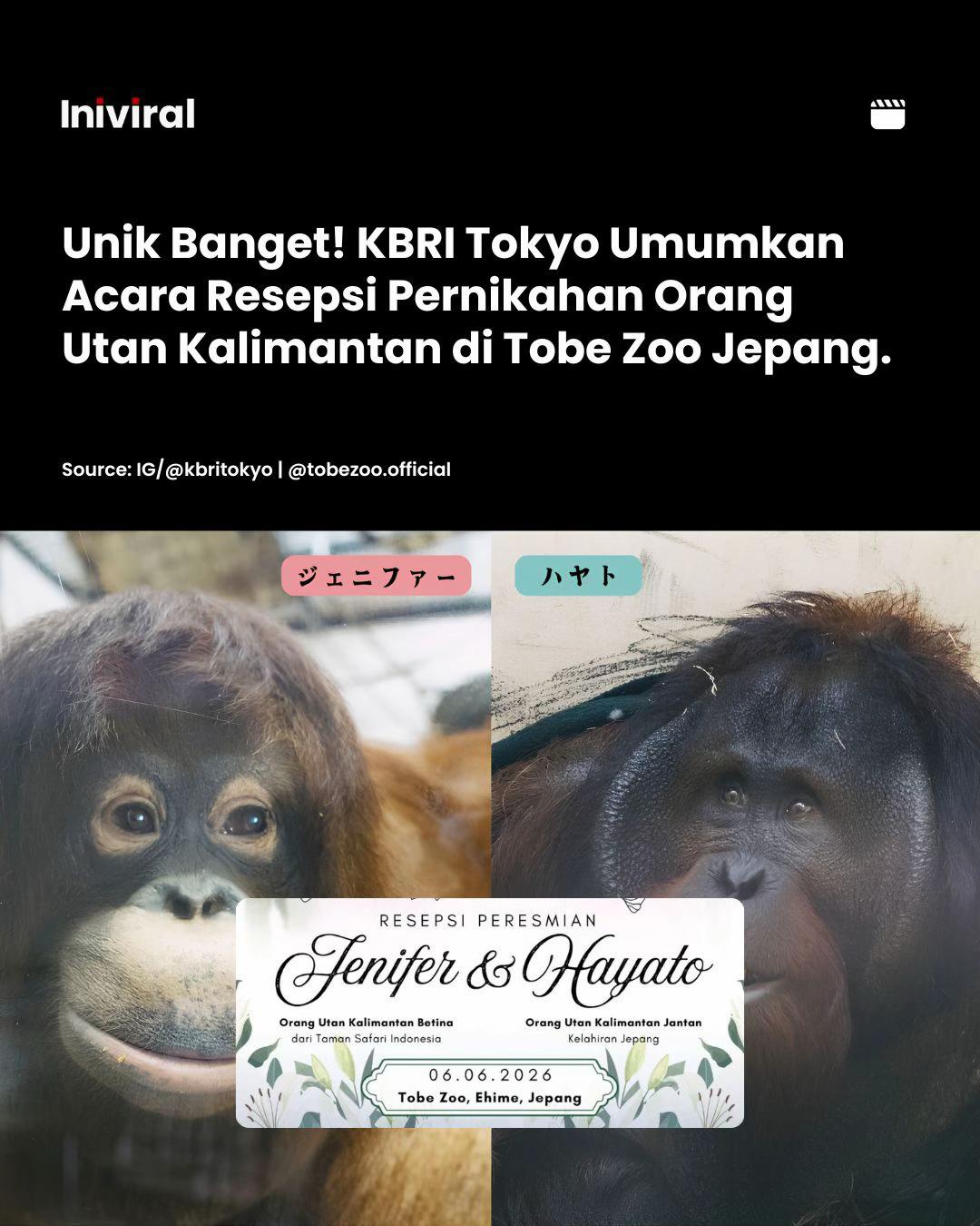 @Ini Viral