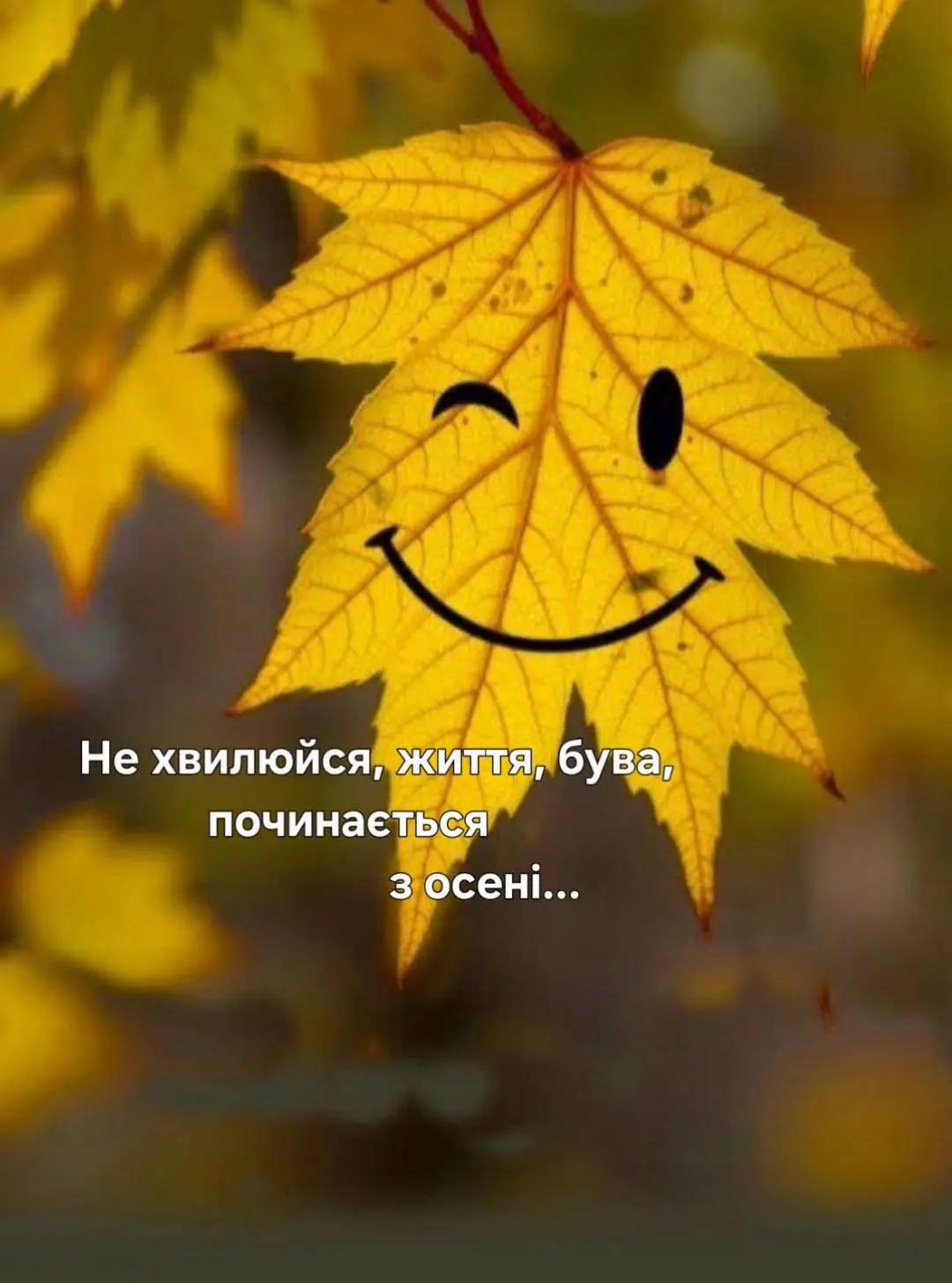 @Скарлет💙