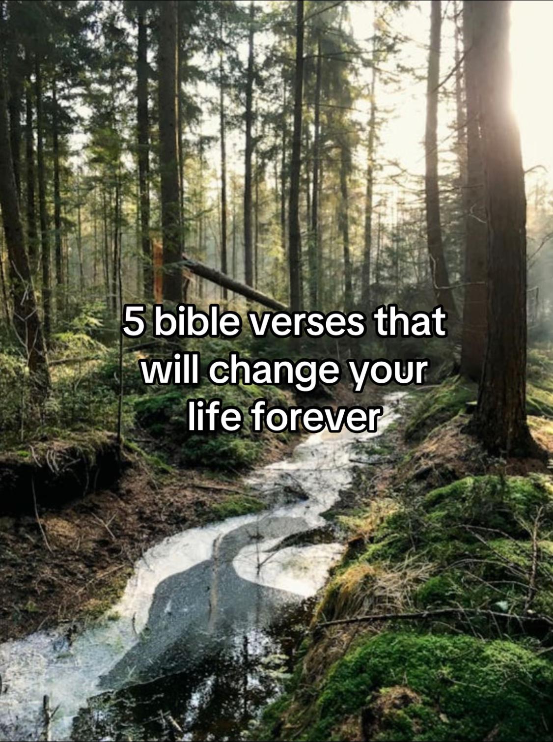 @verse.view