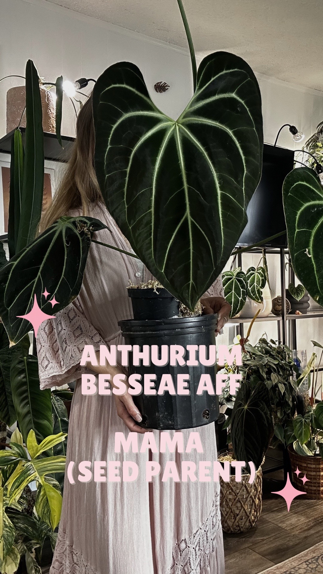 @theplantgirl_diaries