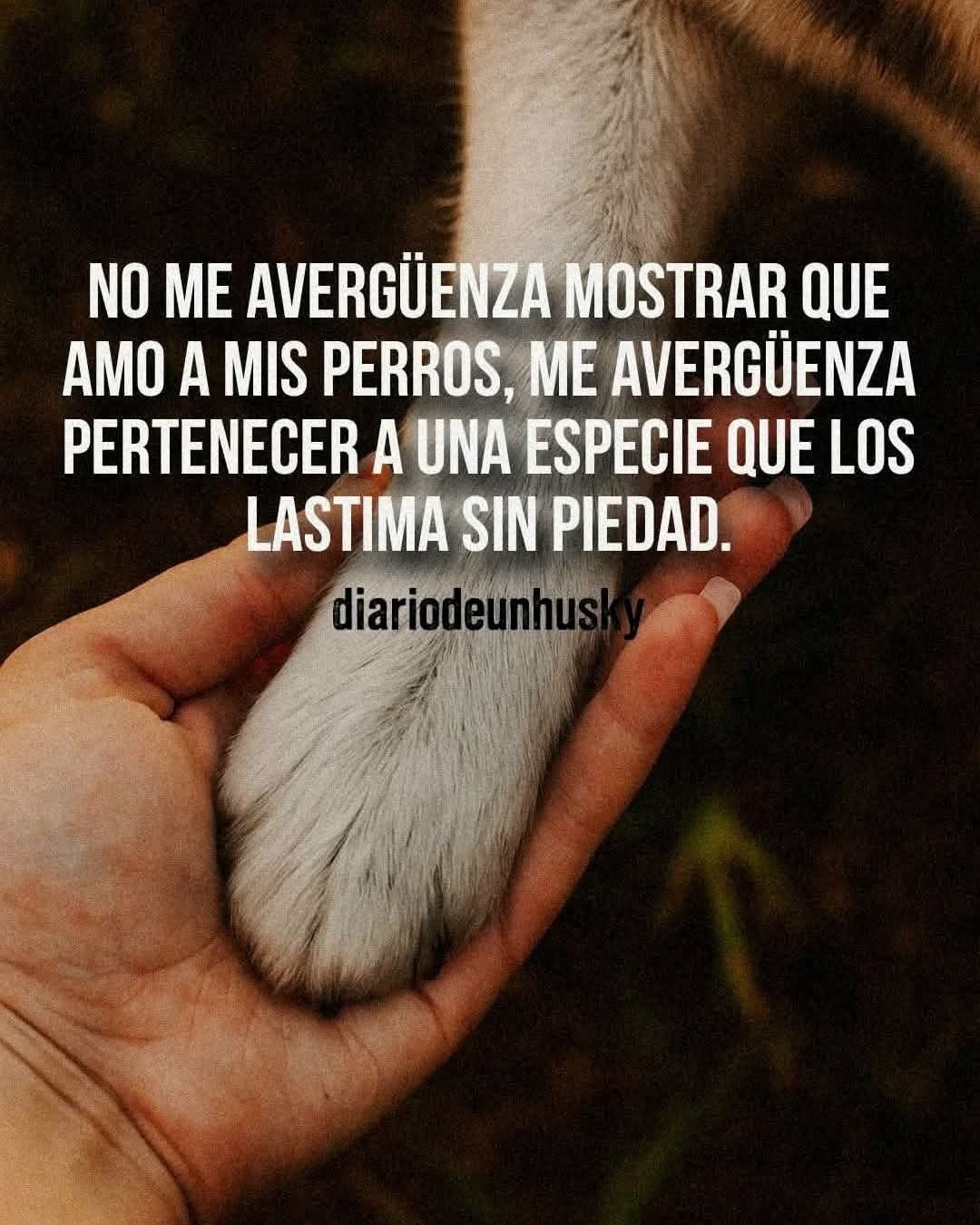 @Chantal