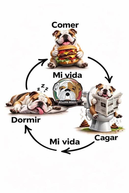 @Cri🐾M❤️rghy🐾labulla❤️