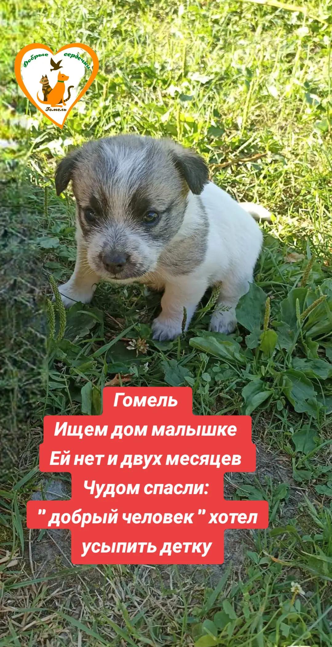@Марина