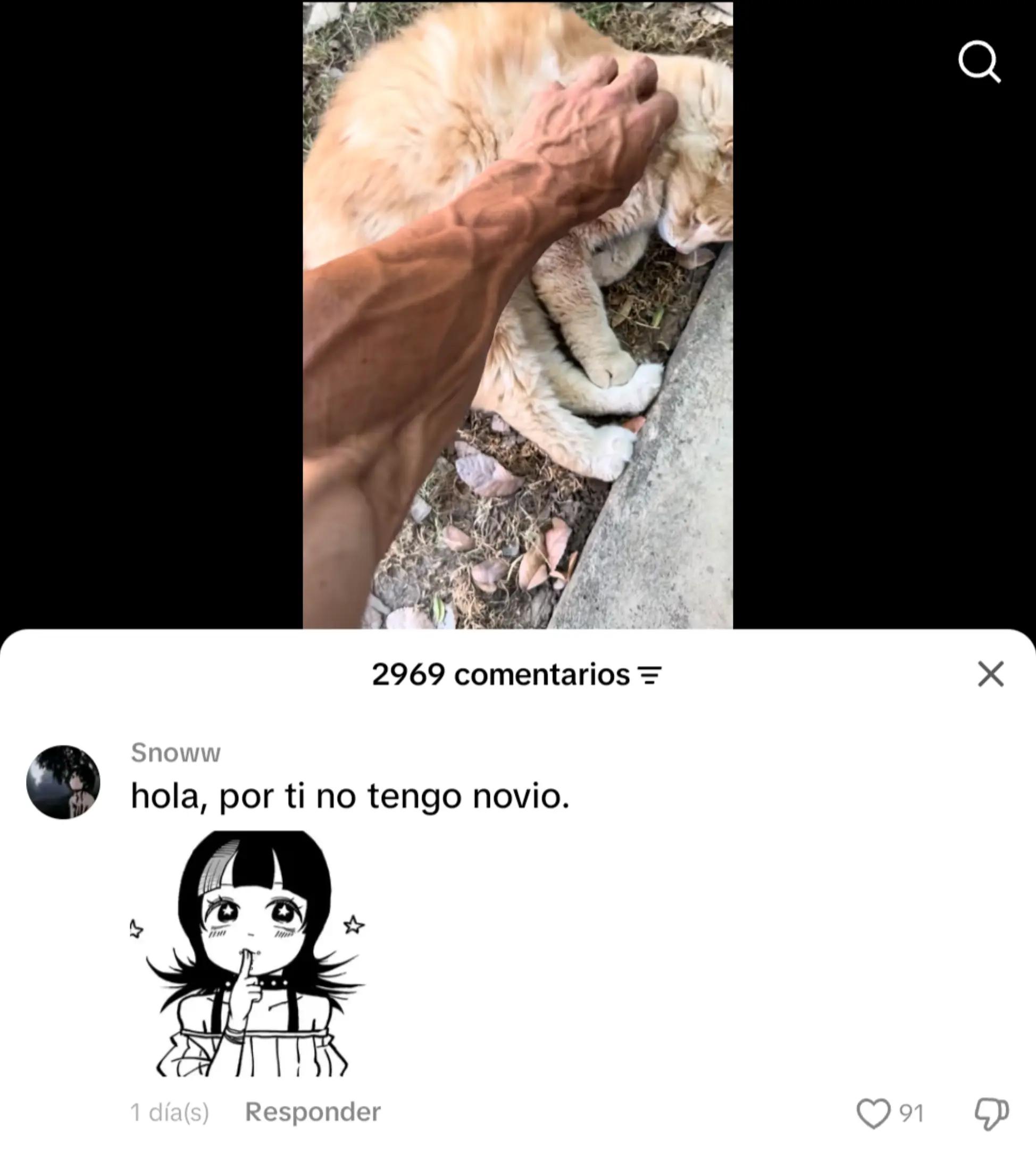 @𝐌𝐜𝐋𝐨𝐯𝐢𝐧