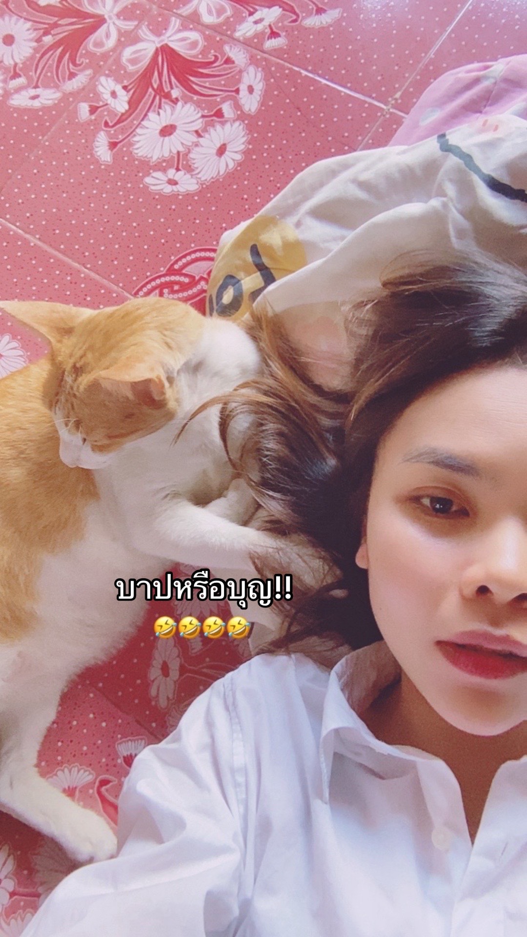 @ใหม่ทาสแมว (ช่องหลัก)