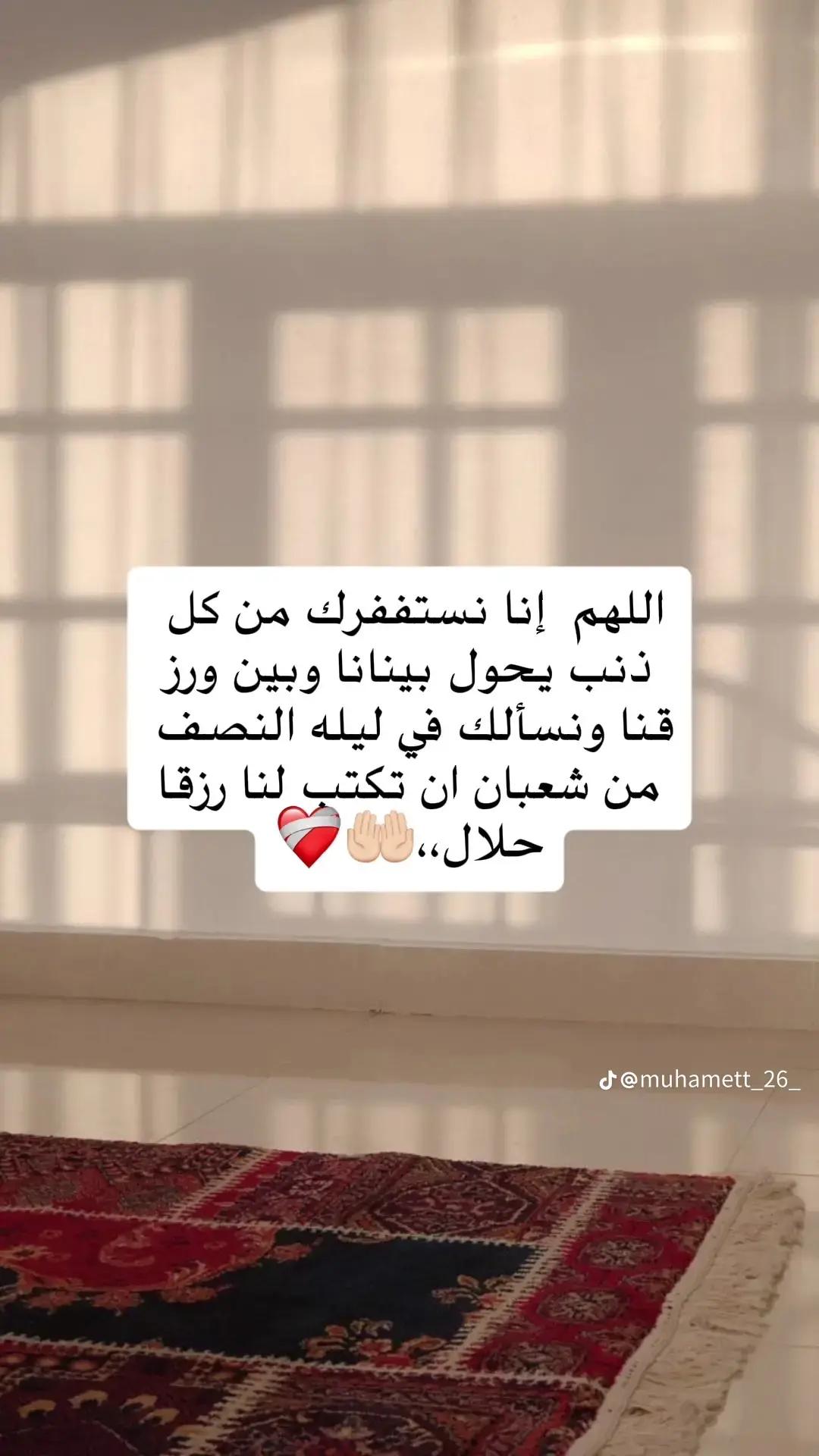 @qalbidhaya309