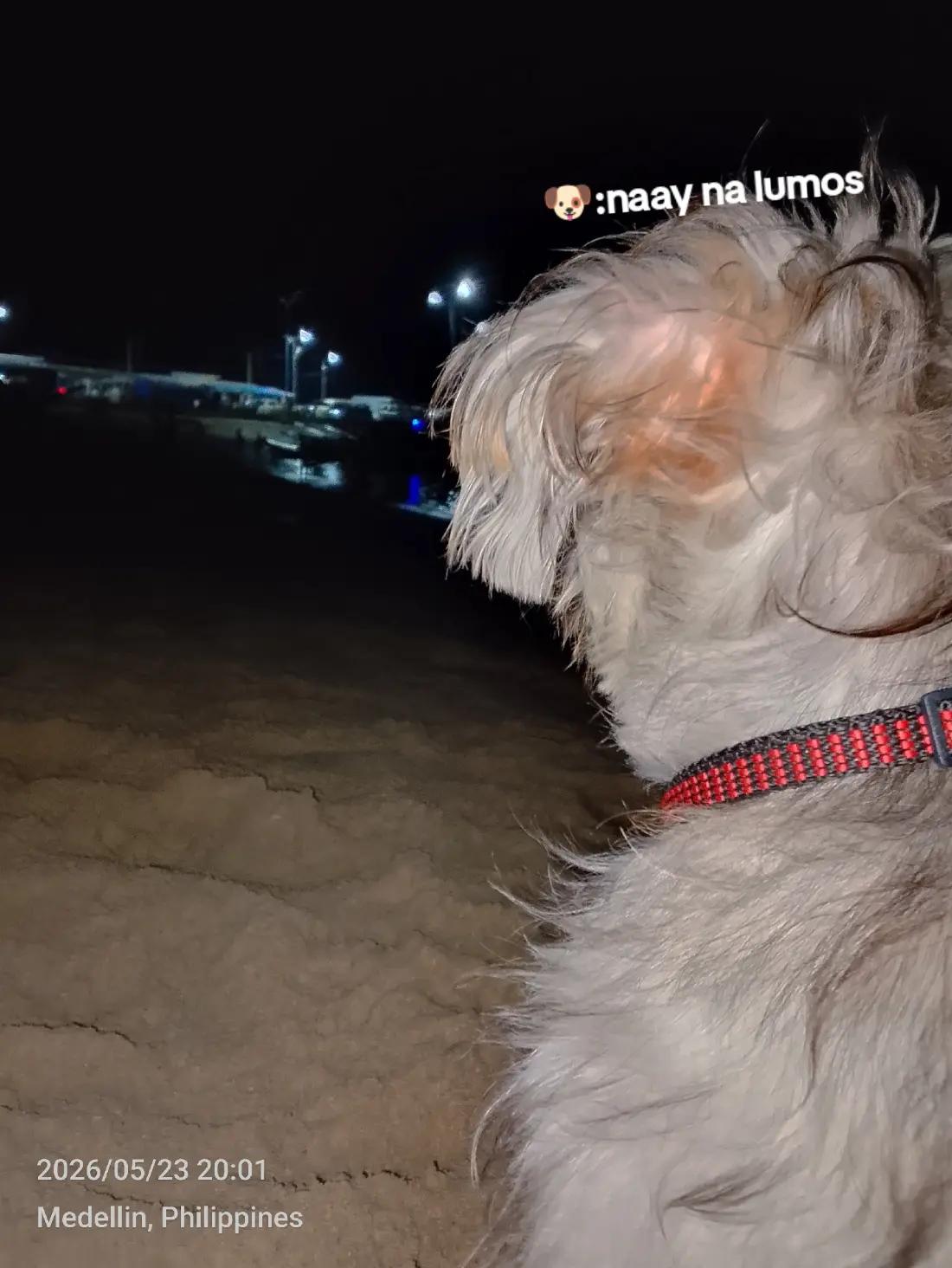 @𝐘𝐯𝐨𝐫𝐢𝐞𝐥