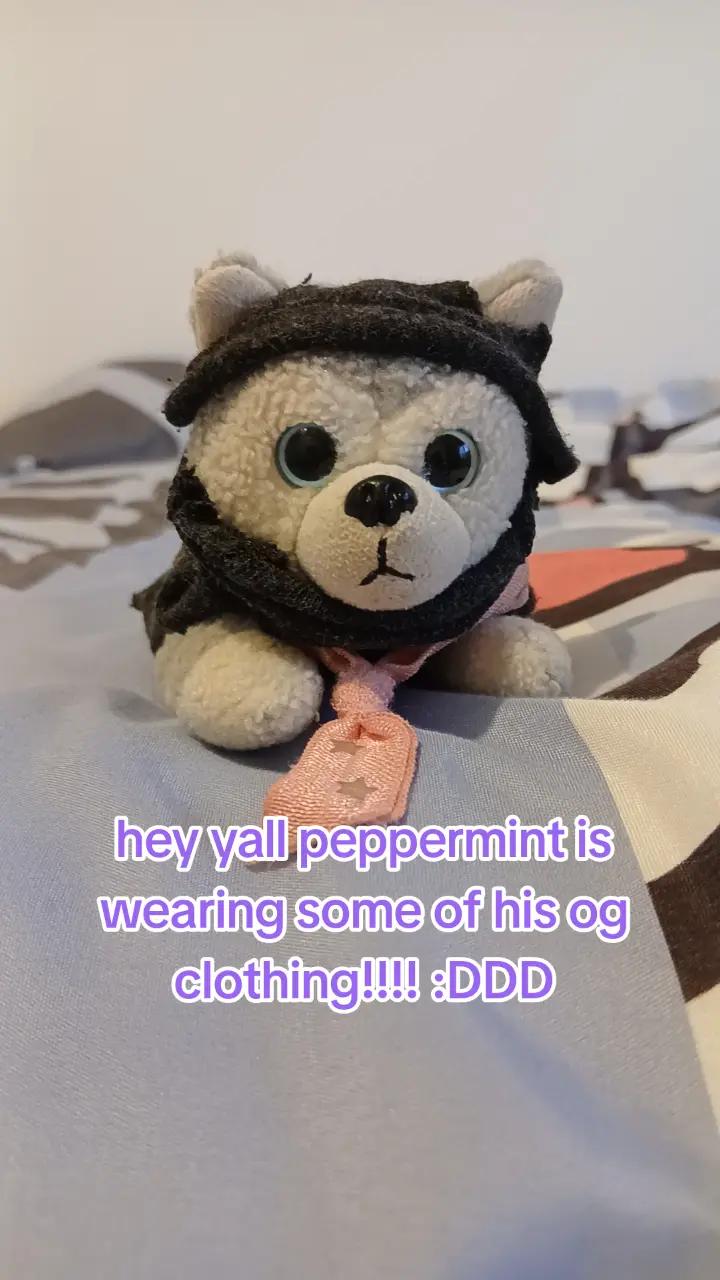 @Peppermint🐺🍥