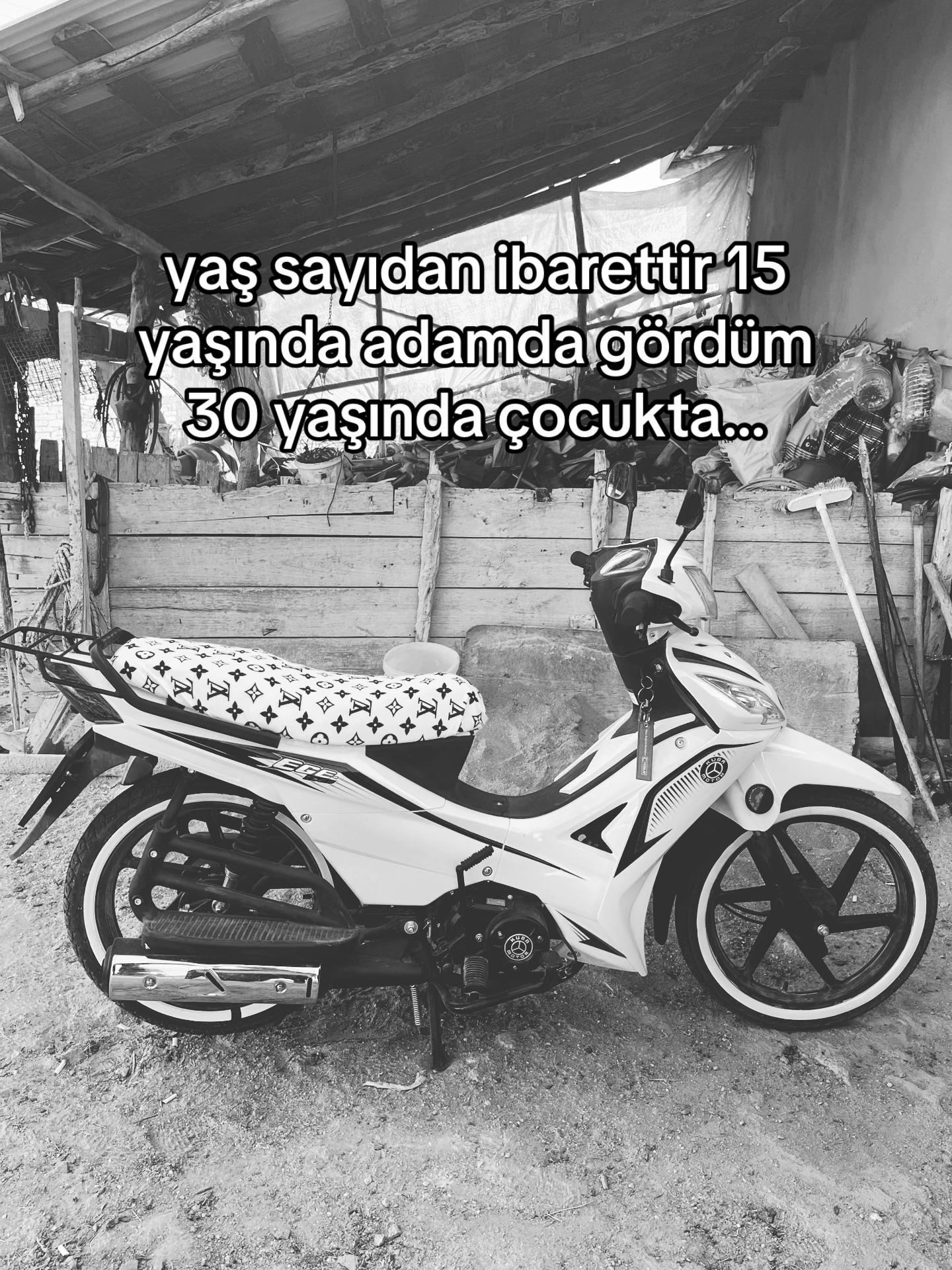 @ลABAN KOLTKA