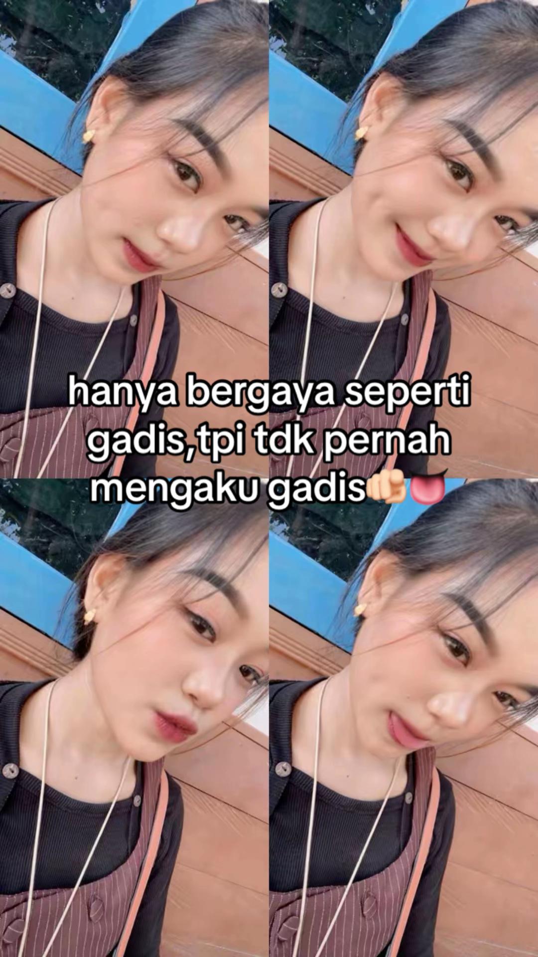 @lemontea🐾