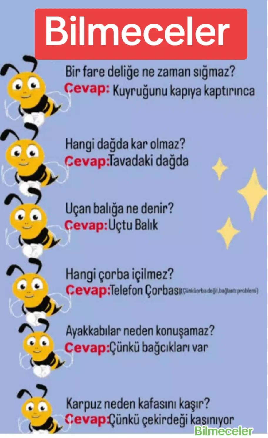 @Onur Çayğaracı 🌼Bilmeceler