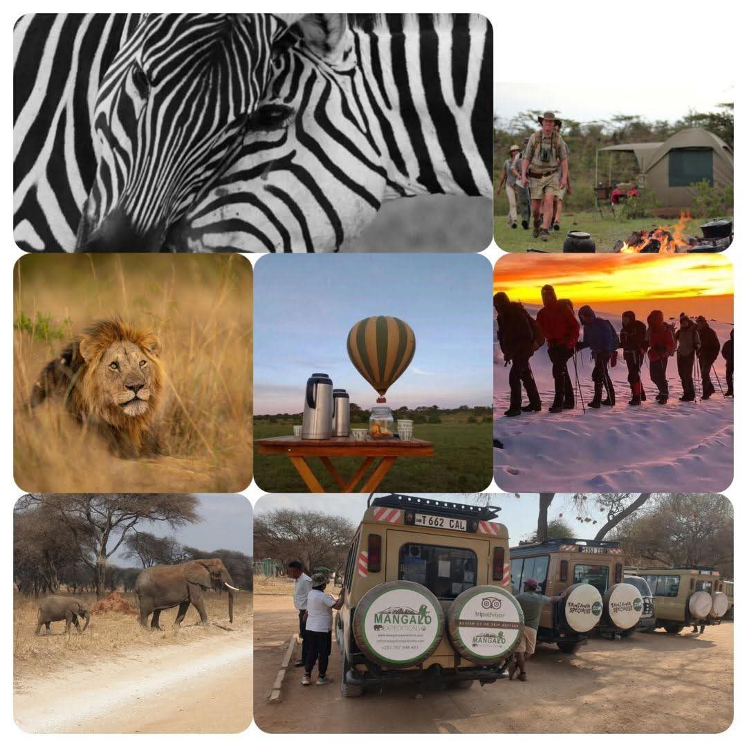 @Mangalo Expeditions
