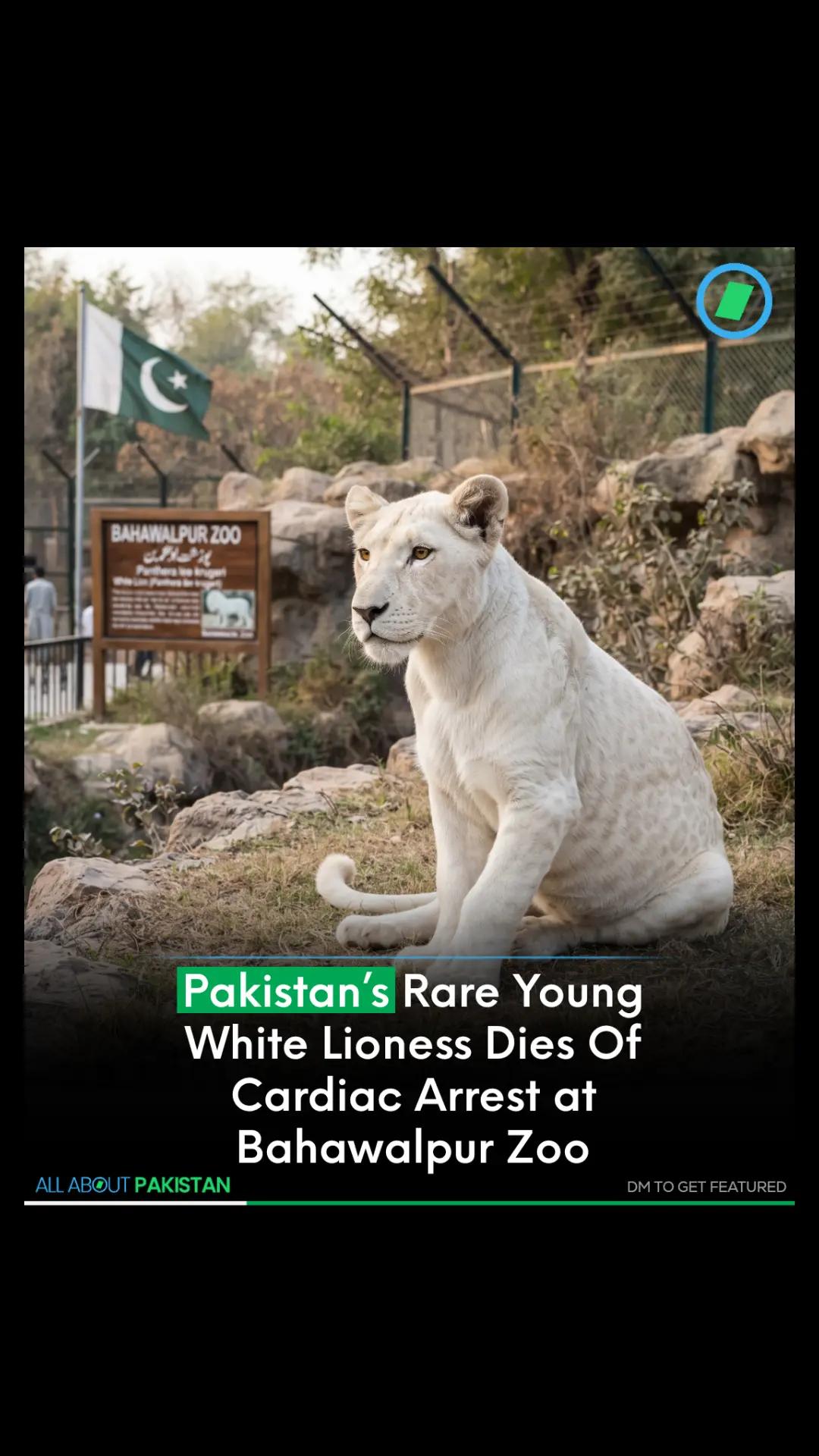 @All About Pakistan
