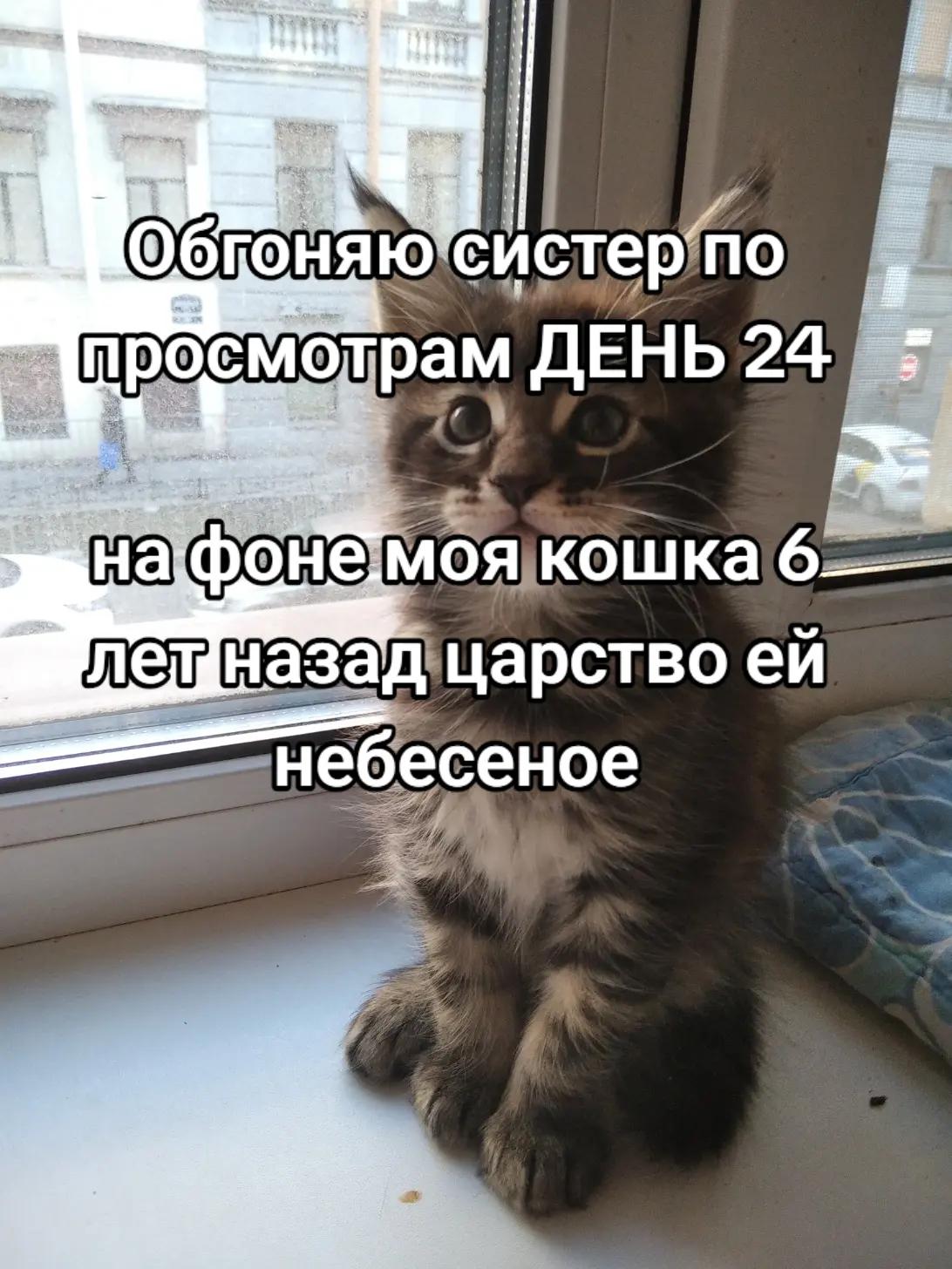 @T1mXSPIRIT