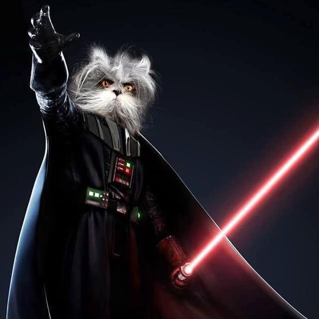 @atchoumthecat