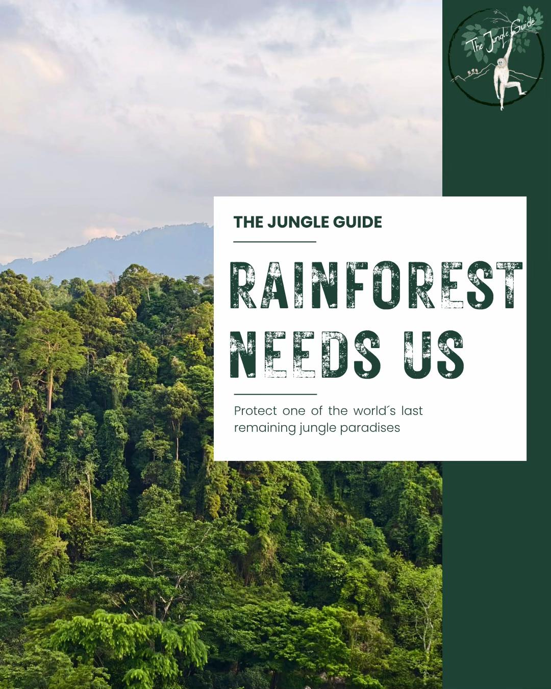 @The Jungle Guide