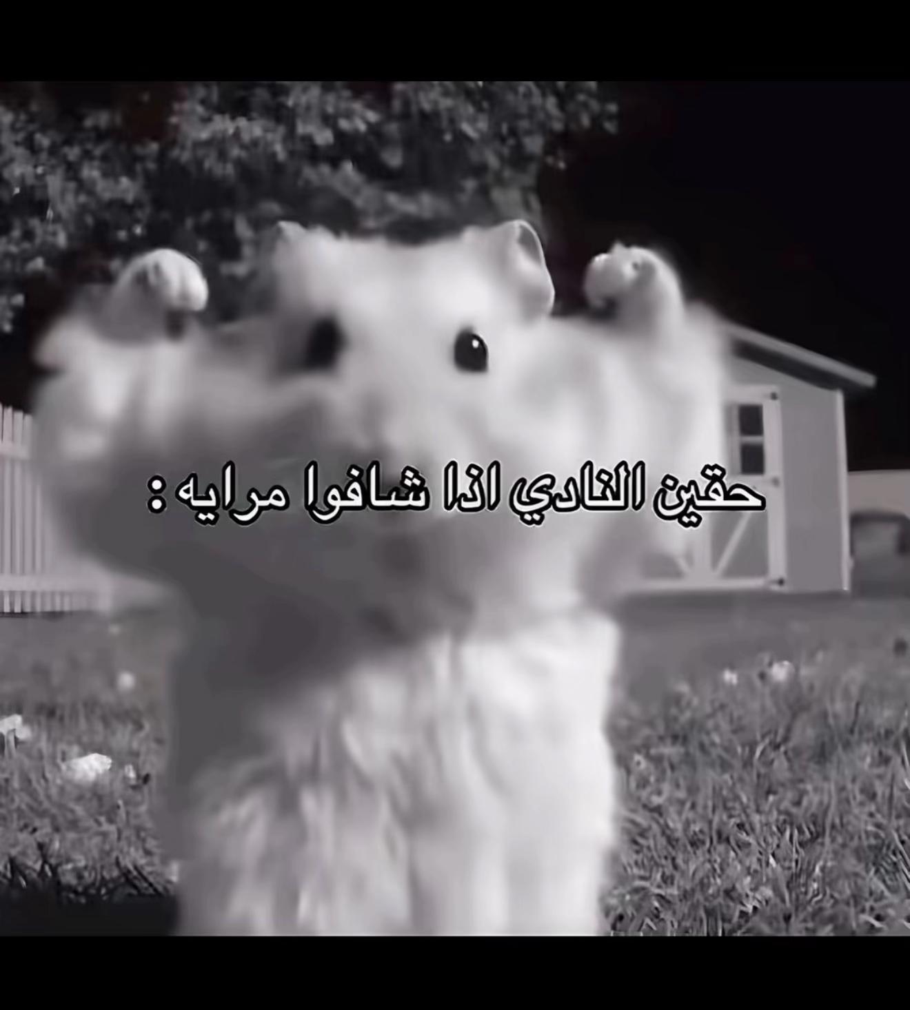 @๐๐ง๐ฟโ๏ธ