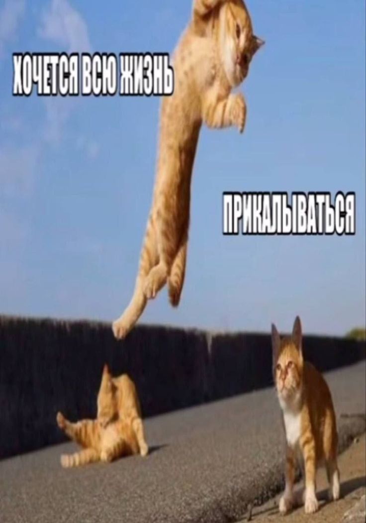 @мэттджумк
